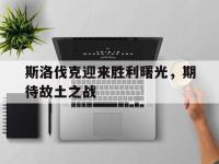 乐鱼体育教练-斯洛伐克迎来胜利曙光，期待故土之战的简单介绍