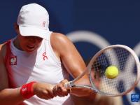 乐鱼体育官方登录入口-网球选手技艺超群，打出精彩回球的简单介绍