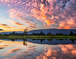 广东队宗师高傲，神威再现霸无对