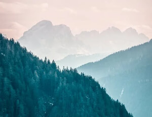 女足国家队再度出击,实现连胜壮举